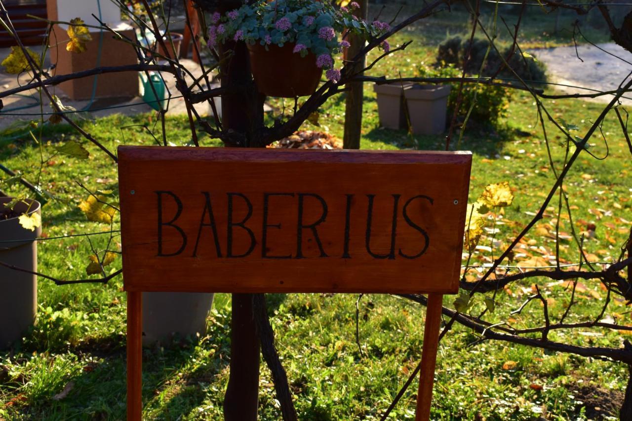 Villa Baberius Esterno foto
